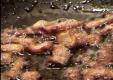 How To Make Bacon Fried Rice